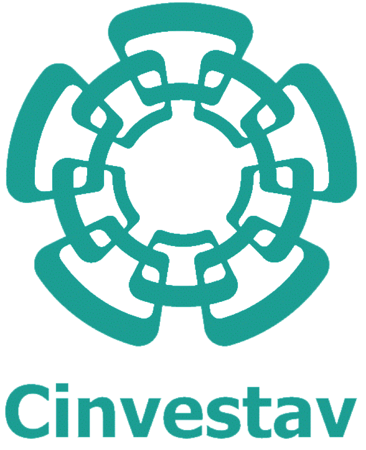 CINVESTAV