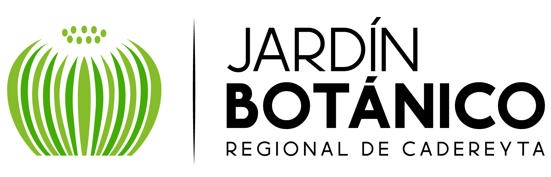 Logo nuevo Jardn Botnico