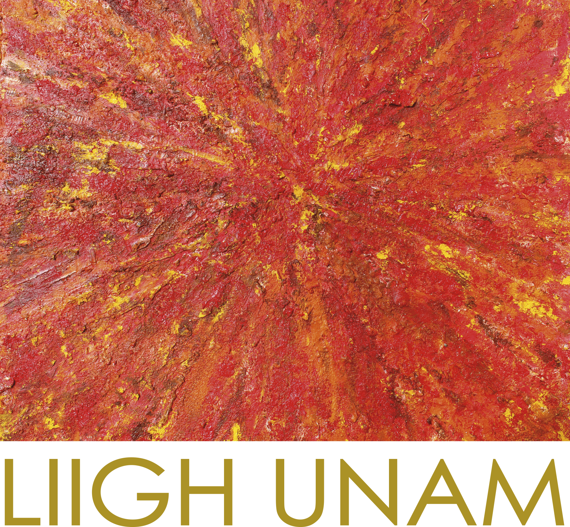logo liigh